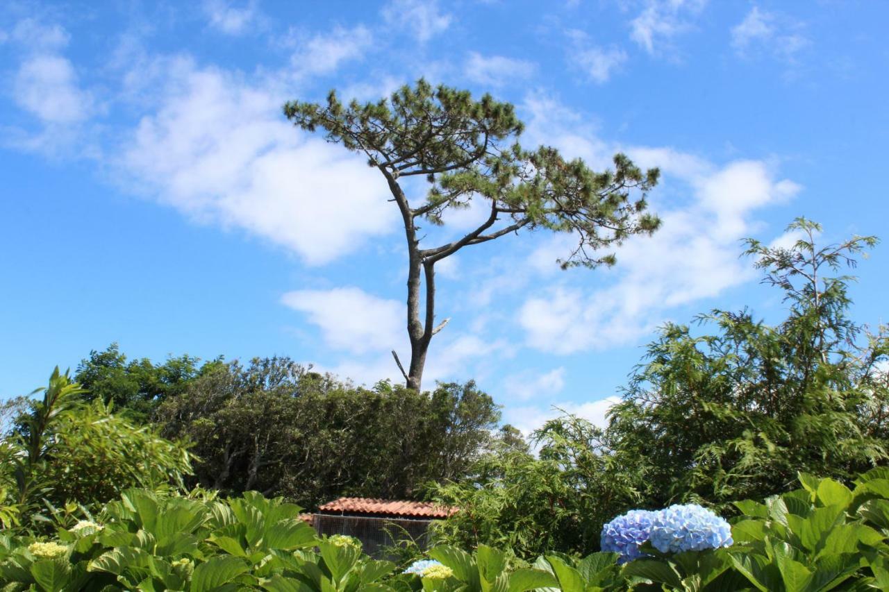 Quinta Do Torreao Willa Capelas Zewnętrze zdjęcie